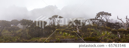 Mount Roraima banner web, Venezuela, South Mount Roraima banner web, Venezuela, South 65763546