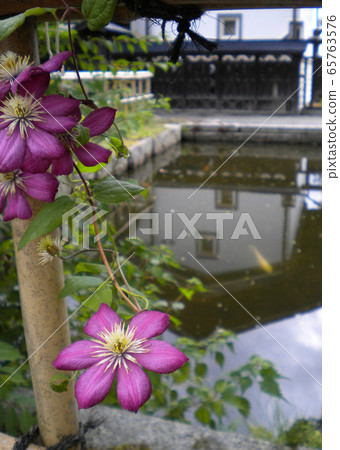 花的風景8在莊屋住宅的花園裡 花的風景8在莊屋住宅的花園裡 65763576