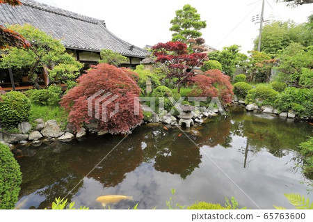 Roses of Osadu Kannon Roses of Osadu Kannon 65763600