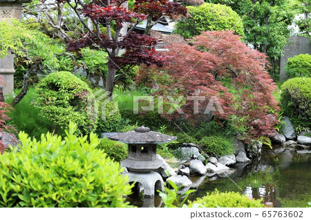 Roses of Osadu Kannon Roses of Osadu Kannon 65763602