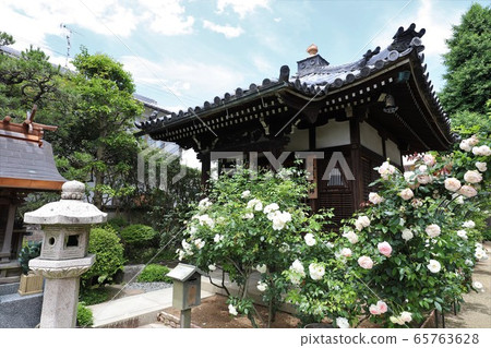 Roses of Osadu Kannon 65763628