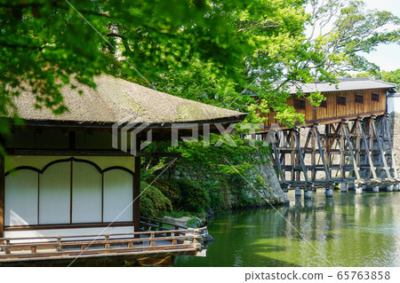 和歌山城西之丸花園（紅葉花園）鮮綠色 65763858