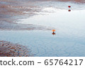 Sea, seaweed 65764217