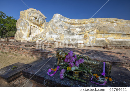 Wat · Rokya Yutter (Thailand, Ayutthaya) 65764631