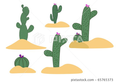 Drawing cactus set. Elements for background, banner, card, poster. Vector EPS10 illustration. Drawing cactus set. Elements for background, banner, card, poster. Vector EPS10 illustration. 65765373