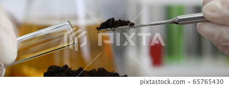 soil sampling for chemical analysis and ph test 65765430