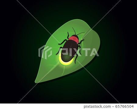 螢火蟲發光圖 65766504