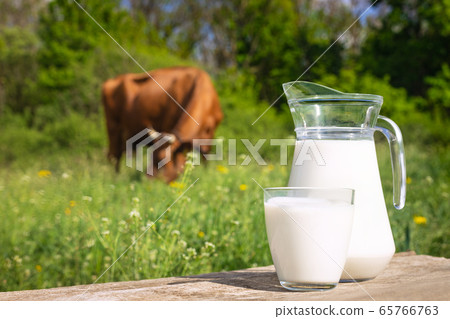 milk with cow on the background milk with cow on the background 65766763