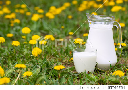 milk in glass with dandelions on the background milk in glass with dandelions on the background 65766764