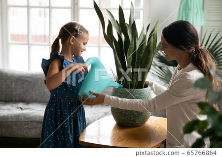 Young mom and daughter watering green plant at home 65766864