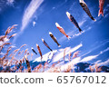 Koinobori in the blue sky next to mount Fuji during Golden Week  65767012