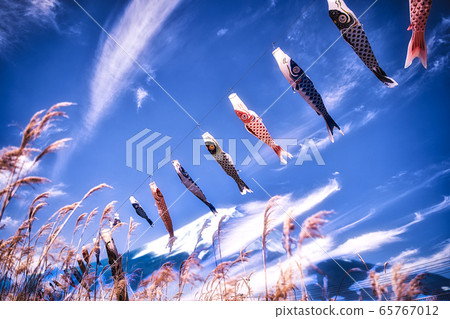 Koinobori in the blue sky next to mount Fuji during Golden Week  65767012
