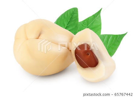 Salak snake fruit isolated on white background with clipping path and full depth of field Salak snake fruit isolated on white background with clipping path and full depth of field 65767442