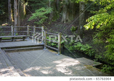 Spring of aqueduct Spring of aqueduct 65768964