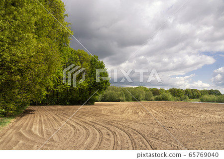 Rural landscape near Bornerbroek 65769040