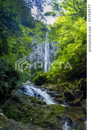 Takibaya waterfall 65769577