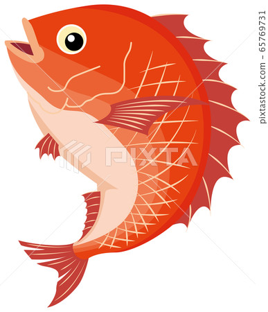 Fresh snapper jumping around - Stock Illustration [65769731] - PIXTA