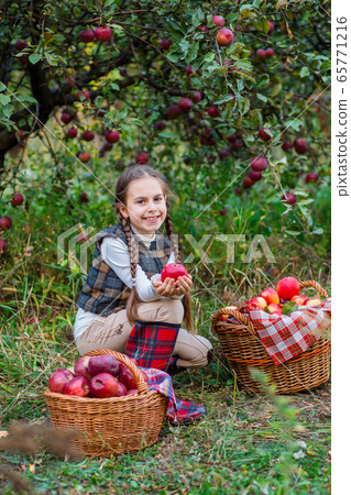 Portrait of a cute girl in a farm garden with a Portrait of a cute girl in a farm garden with a 65771216