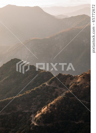 Sunset over redwood trees in Sequoia National Park, California, USA Sunset over redwood trees in Sequoia National Park, California, USA 65772672