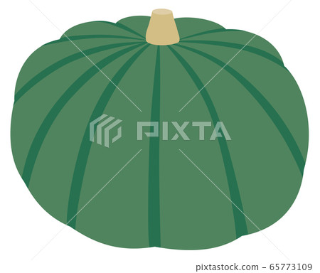 蔬菜南瓜南京南金 蔬菜南瓜南京南金 65773109