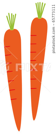 Vegetables carrot carrot carrot ginseng carrot Vegetables carrot carrot carrot ginseng carrot 65773111
