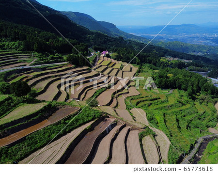 Take rice terrace Take rice terrace 65773618
