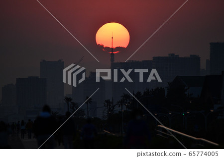 落日的城市 落日的城市 65774005