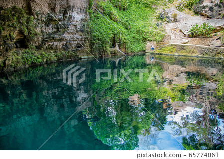 Mexico Valladolid Cenote Sashi Mexico Valladolid Cenote Sashi 65774061