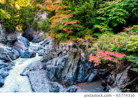 Autumn leaves of Hatonosu Valley, Okutama Town, Tokyo 65774316