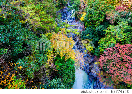 View from Unzenbashi, the autumn foliage of Hatonosu Valley, Okutama Town, Tokyo View from Unzenbashi, the autumn foliage of Hatonosu Valley, Okutama Town, Tokyo 65774508
