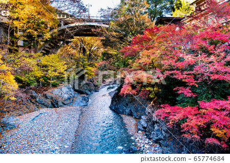 Hikawa Bridge in autumn colors in Okutama Town, Tokyo 65774684