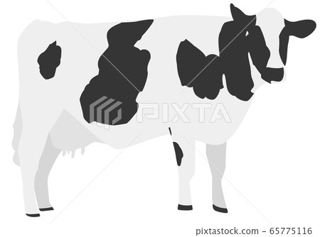 牛圖素材 65775116