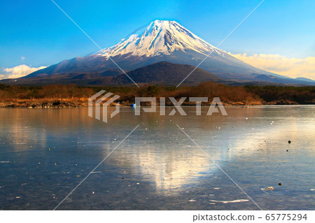 Fuji reflected on a frozen lake 65775294