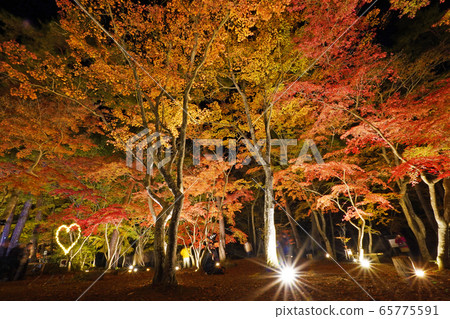 Moon Stone Maple Park 65775591