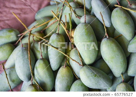 Green mango for sale in the fruit market in Green mango for sale in the fruit market in 65776527