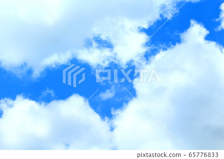 Early summer 65776833