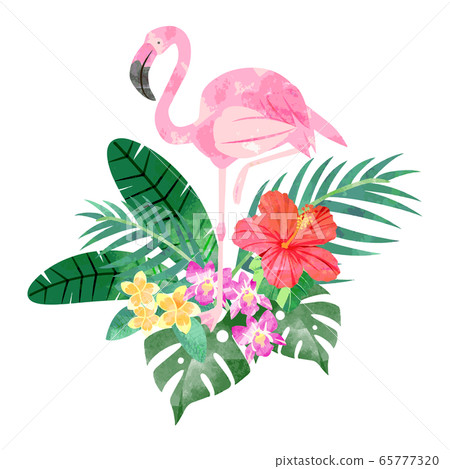 手繪水彩風格熱帶單點插畫02 手繪水彩風格熱帶單點插畫02 65777320