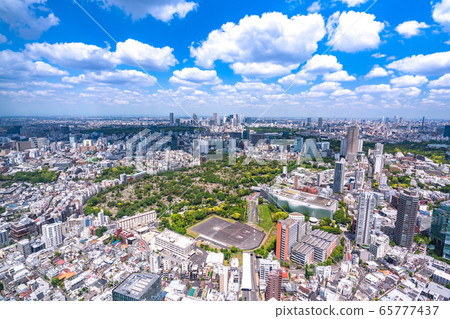 《Tokyo》Blue sky and white clouds, Tokyo cityscape 65777437
