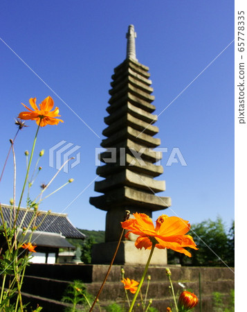Akisakuraji Temple in Nara 65778335