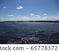 River  ob in summer, Siberia Russia 65778372