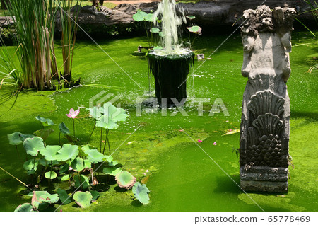 Bali summer image 65778469