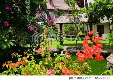 Bali summer image Bali summer image 65778472