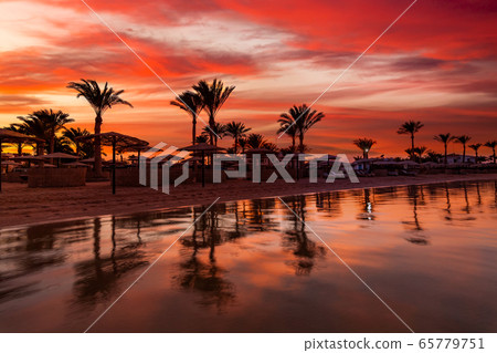 Sunset at the beach with palm trees, parasols and sunbeds. Sunset at the beach with palm trees, parasols and sunbeds. 65779751