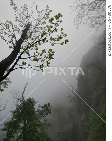 Misty mountain Misty mountain 65780576