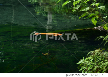 Izuruhara Bentenike Izuruhara Bentenike 65781140