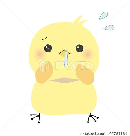 Chick with a runny nose 65781184