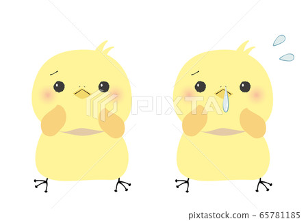 惱人的小雞和生病的小雞，鼻子流鼻涕 65781185