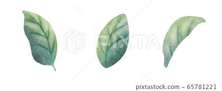 葉葉葉 葉葉葉 65781221