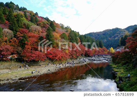 Autumn leaves 65781699