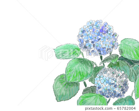 繡球花框架 65782004